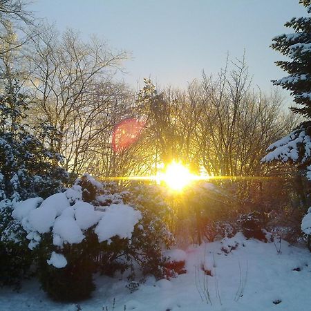 Sov Godt I Arnborg Bed & Breakfast エクステリア 写真